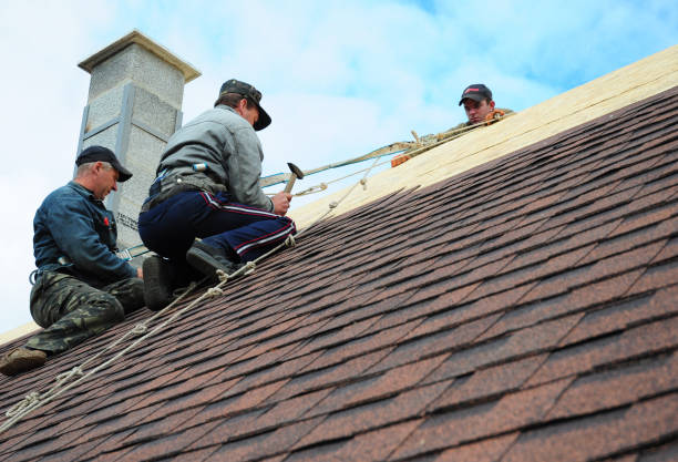 Best Roof Leak Repair  in Carbondale, KS